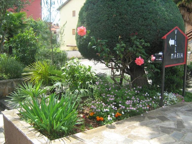 Villa Maria Novigrad Istria Eksteriør bilde