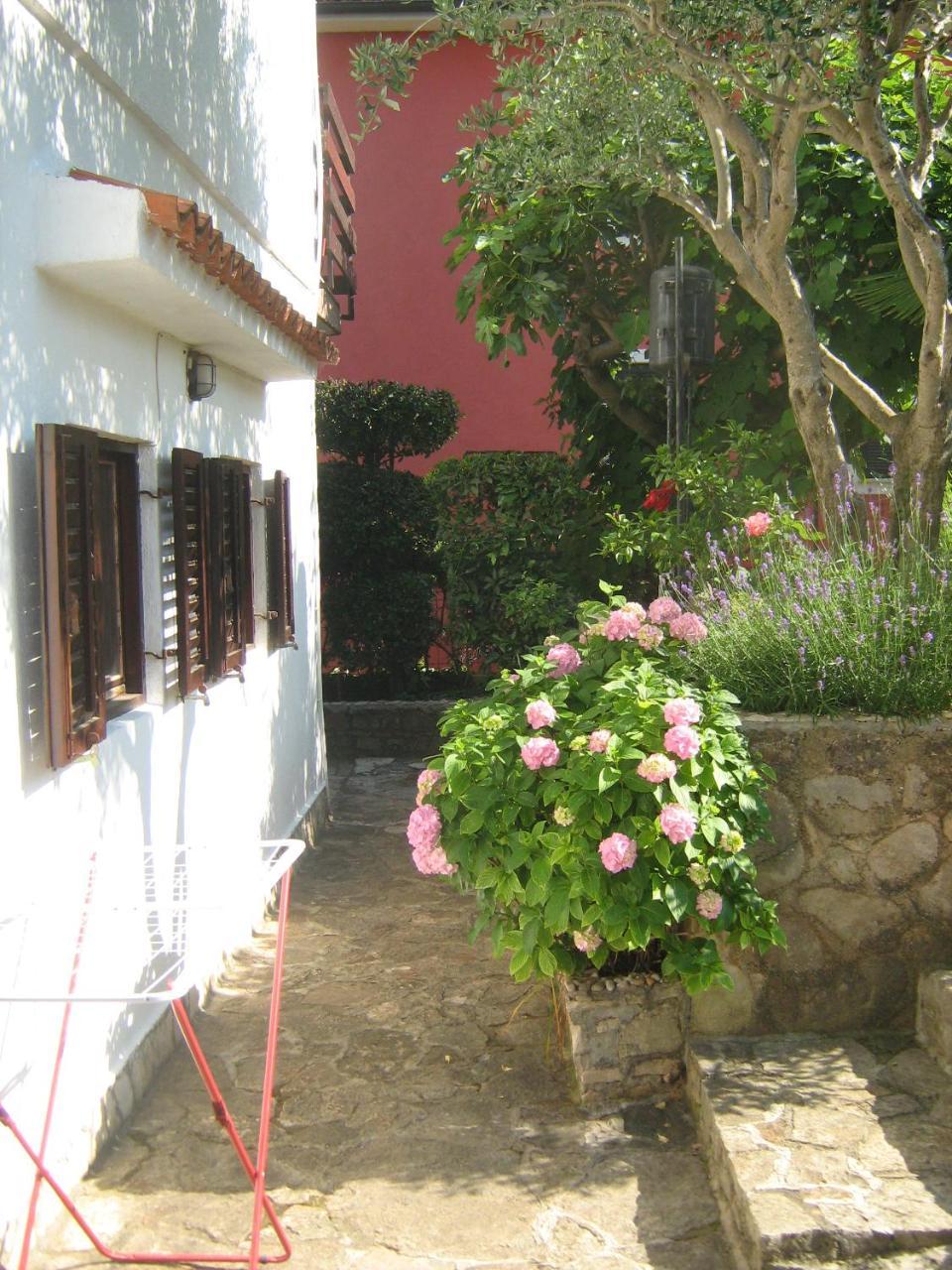 Villa Maria Novigrad Istria Eksteriør bilde