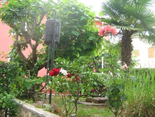Villa Maria Novigrad Istria Eksteriør bilde