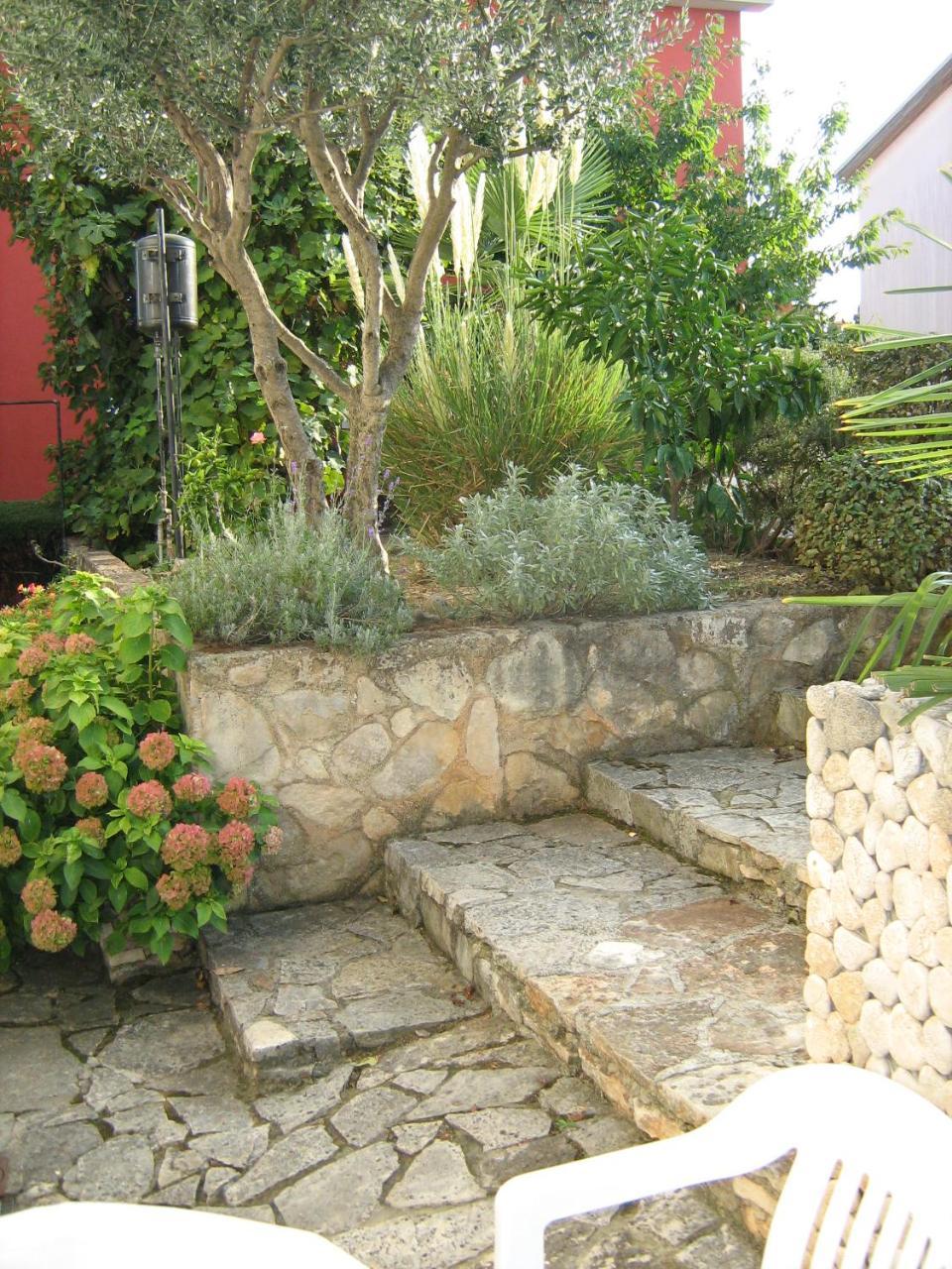 Villa Maria Novigrad Istria Eksteriør bilde