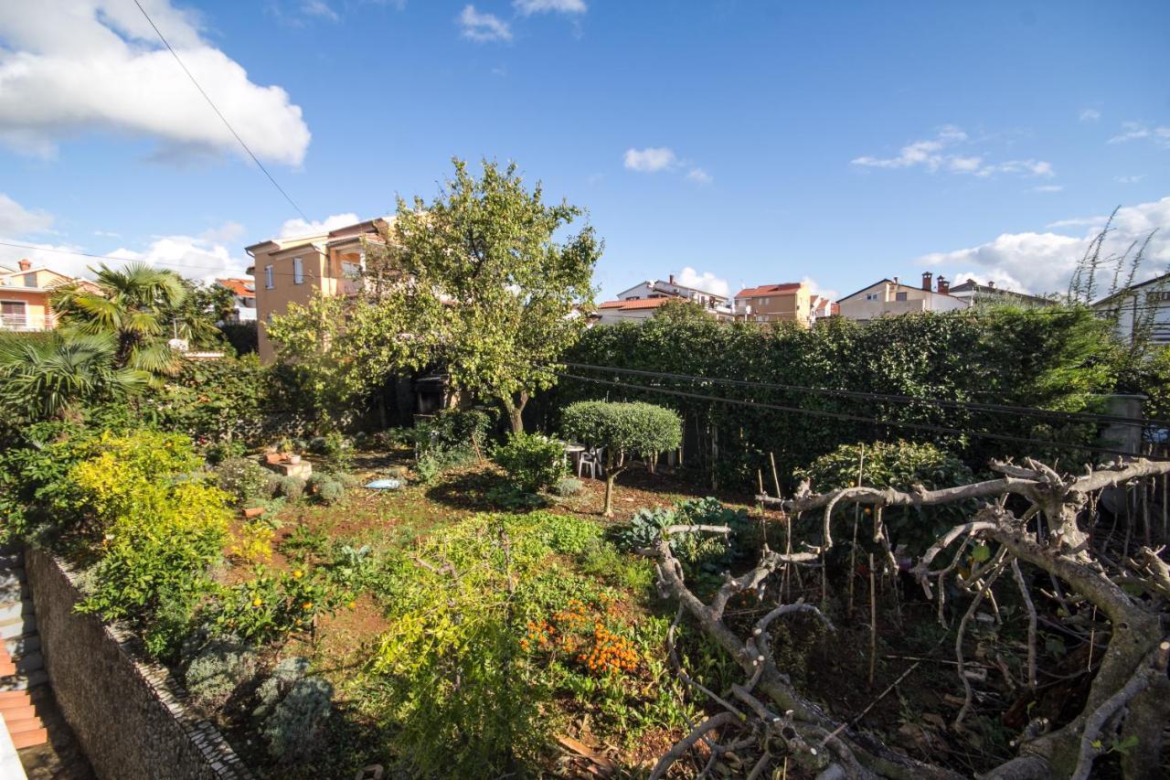 Villa Maria Novigrad Istria Eksteriør bilde